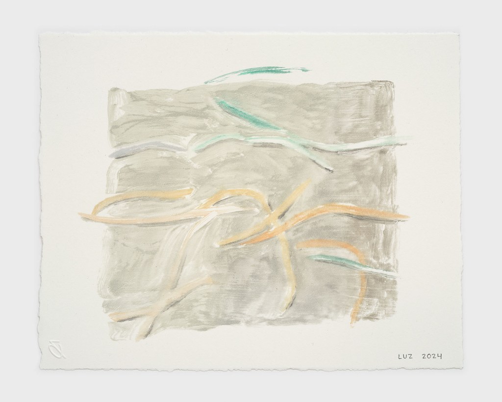 Abstract artwork featuring soft, flowing lines in shades of orange, green, and gray on textured paper.