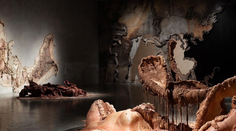 Moody installation view of bio-material sculptures in the exhibition 'Several Eternities in a Day: Form in the Age of Living Materials' at the Hammer Museum, Los Angeles. Large-scale organic forms made from clay, earth, decaying natural materials, and dyes in earthy tones show intentional transformation and impermanence under dramatic gallery lighting.