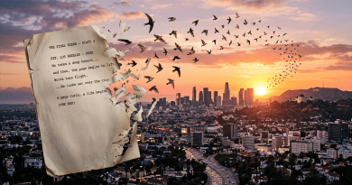 A torn script page transforms into flying birds above the Los Angeles city skyline at sunset