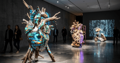 Two illuminated anatomical heart sculptures with digital projections and natural materials in a gallery space
